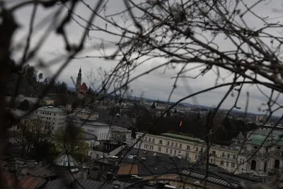 DSC_7054 (Large).JPG